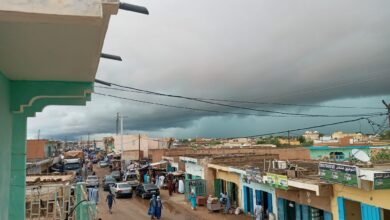 Guiro