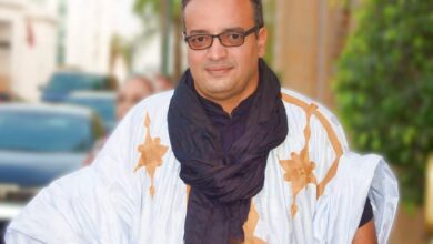 الناشط السياسي والمدون عبد الرحمن ولد ودادي