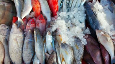 fish market