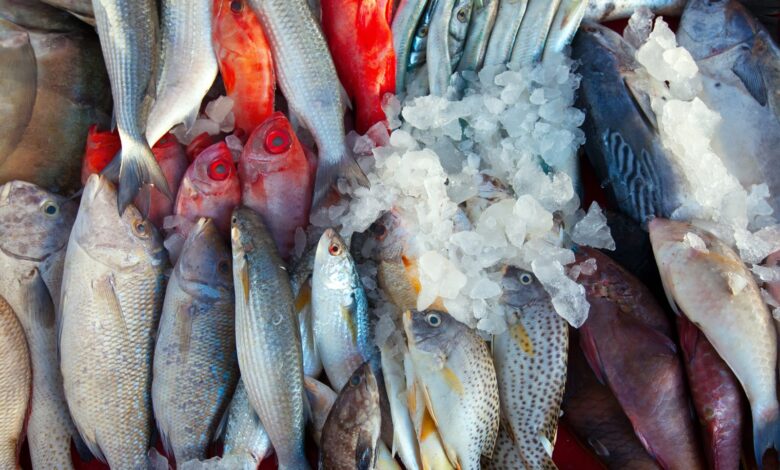 fish market