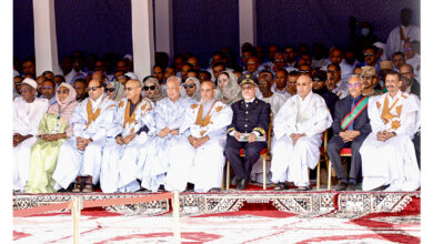 مهرجان شنقيط