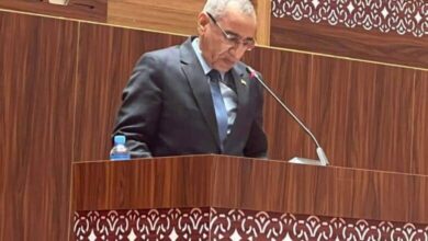 وزير الداخلية