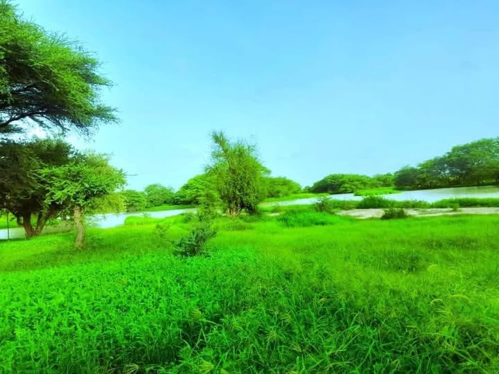 أمطار بكميات معتبرة على مناطق من 5 ولايات