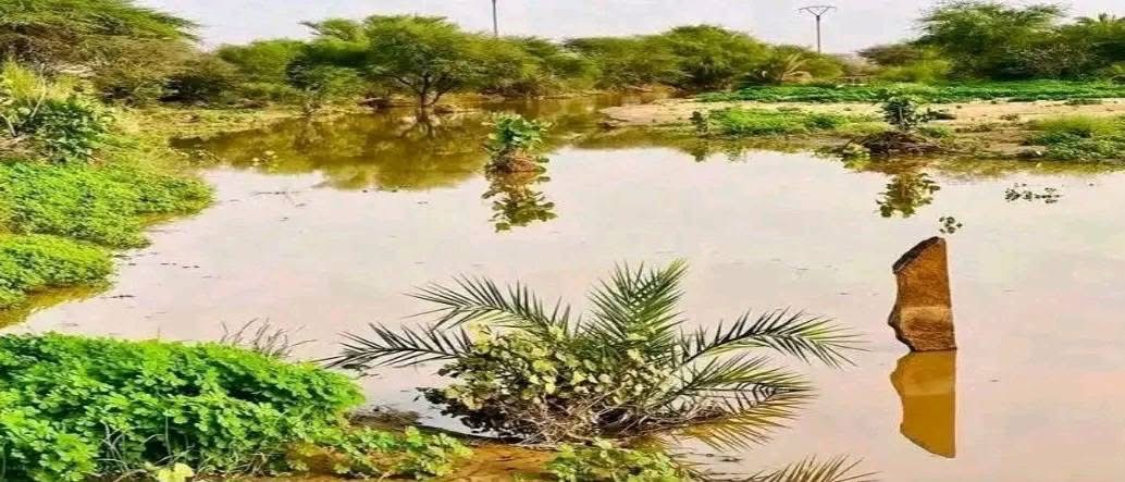 مقاييس.. تساقط كميات من الأمطار على ثلاث ولايات في موريتانيا