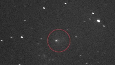 المذنب أطلس بين النجوم محاطاً بدائرة في المنتصف