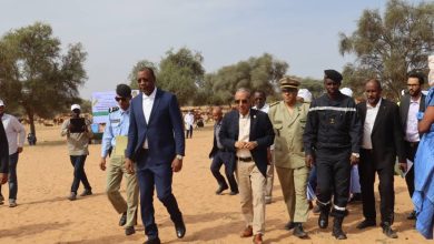 التنمية الحيوانية- حملة تحصين المواشي