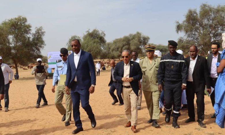 التنمية الحيوانية- حملة تحصين المواشي