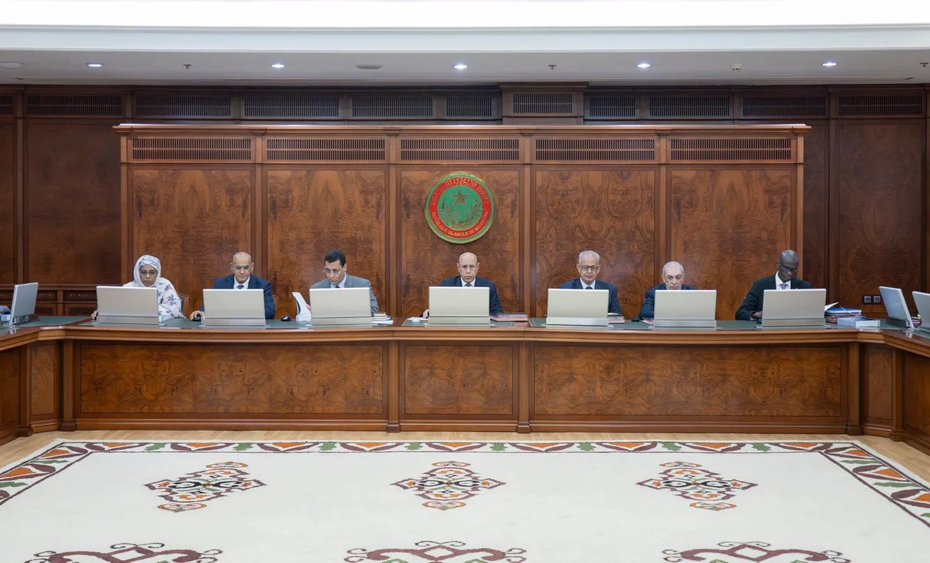 تعرف على قائمة تعيينات مجلس الوزراء