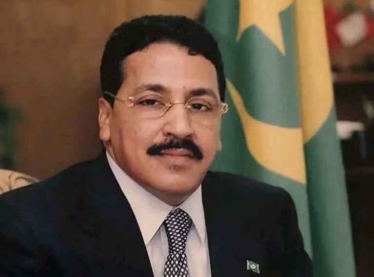 تعيين محمد محمود داهي رئيسا للجنة الوطنية لحقوق الإنسان