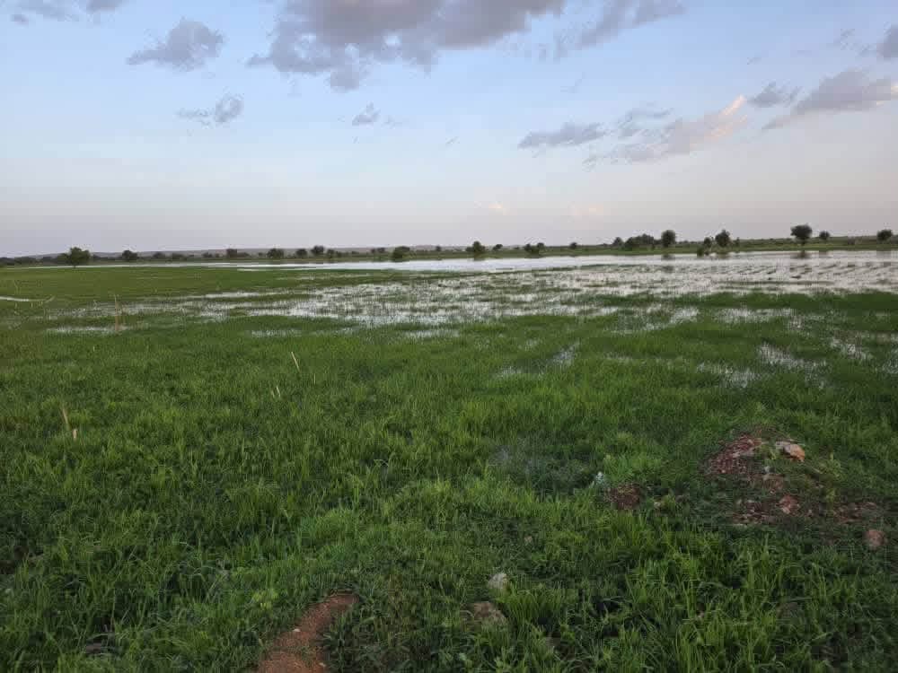 الأرصاد الجوية تتوقع أمطارا من الحوضين وتمتد إلى نواكشوط غدا
