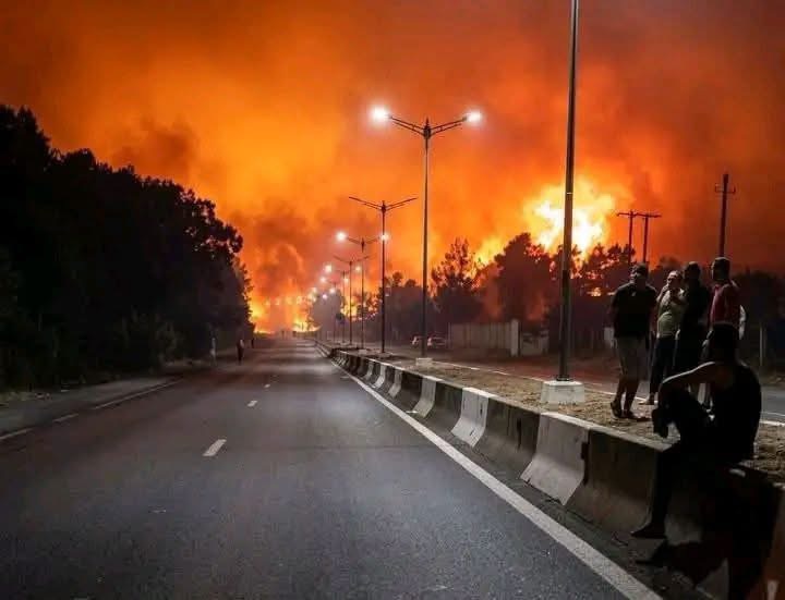 حرائق الجزائر تحصد 12 قتيلا و54 مصابا.. وتبون يعلن حدادا وطنيا