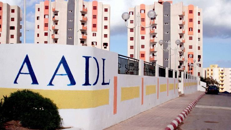 الجزائر توزع أكثر من 133 ألف وحدة سكنية بمناسبة ذكرى الثورة